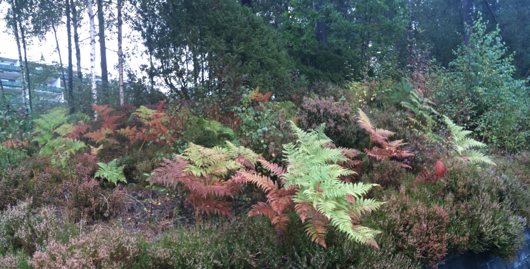 Autumn cleaning my blog|Høstopprydning på bloggen min